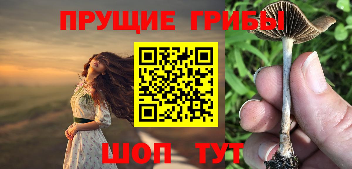 Россия  Псилоцибиновые грибы Magic Shrooms  Галлюциногенные грибы прущие грибы  Вход с VPN 